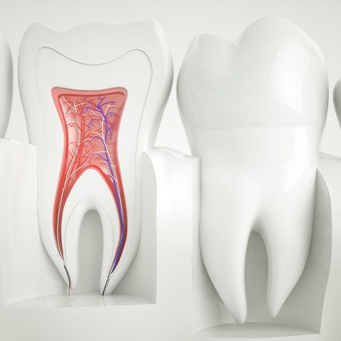 大切な歯や神経を守る治療を重視